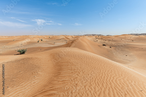 Sand Dunes landscape with Mountains in the background and with blue sky with large copy space