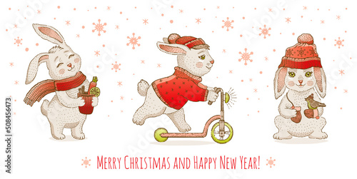 Rabbit Christmas. Bunny New year. Chinese 2023 happy year vector. Cute Christmas winter animal background. Adorable snow hare banner card. Cartoon sketch xmas holiday rabbit in sweater. White bunny