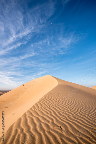 Top of a dune of red sand against blue sky and few clouds  Middle East  Arabian peninsula. Large copy space for text