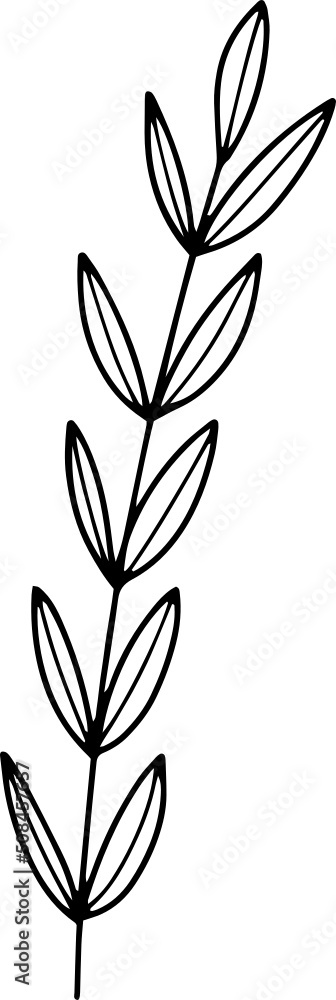 Naklejka premium collection forest fern eucalyptus art foliage natural leaves herbs inline style. Decorative beauty, elegant illustration for design: Vector flower Botanical