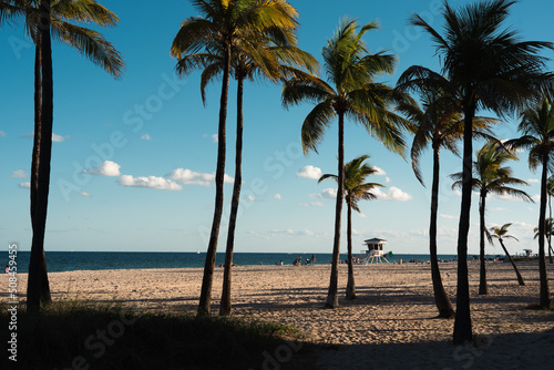 View of beach and palm trees on a warm winter day in Fort Lauderdale, Florida