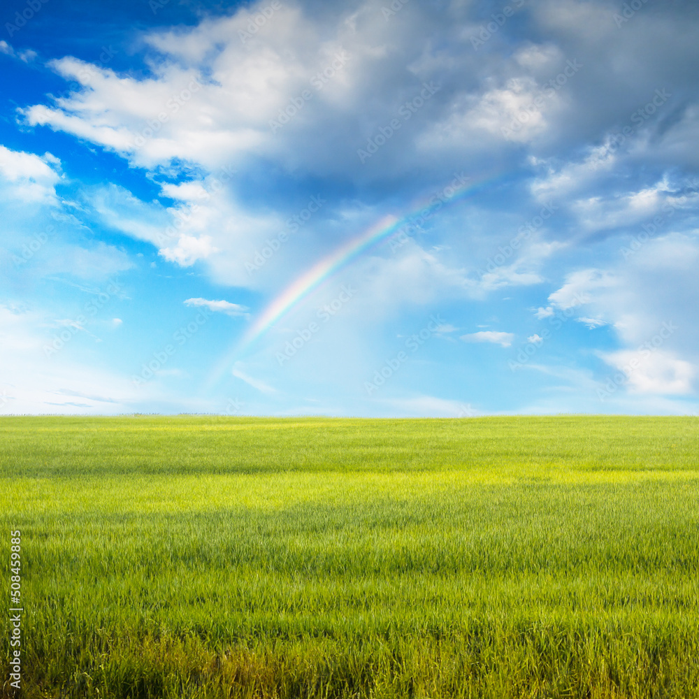 beautiful summer fields beautiful summer fields
