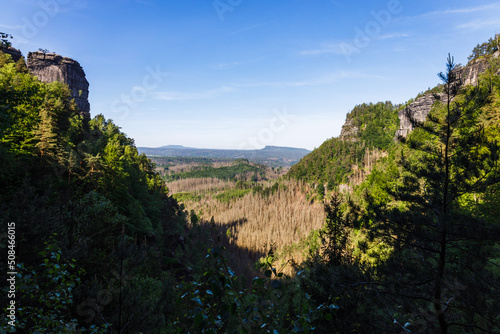 Landscape view of mountains and trees, Bohemian Switzerland National Park, Czech Republic