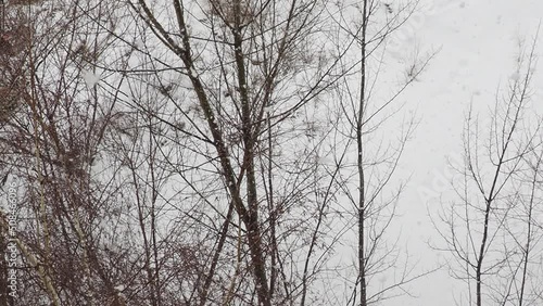 Wallpaper Mural Snow falling down over the city. heavy snowfall and blizzard in the city. snowy road. cars driving in the snow Torontodigital.ca