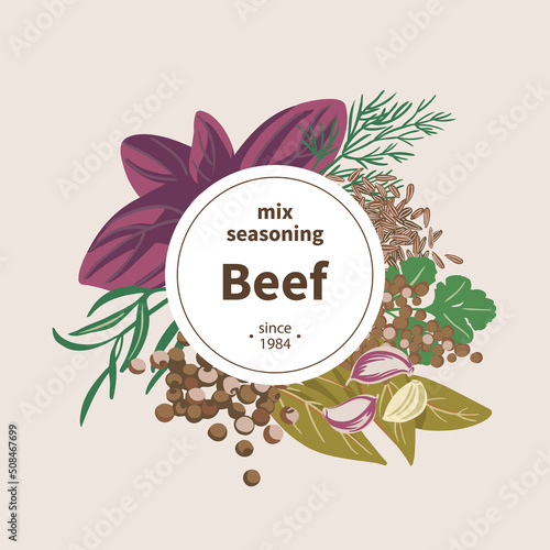 Seasoning cover concept spices for Beef: Basil, Garlic, Bay leaf, Allspice, Thyme, Caraway, Coriander, Tarragon. Top view. Flat style. Vector illustration