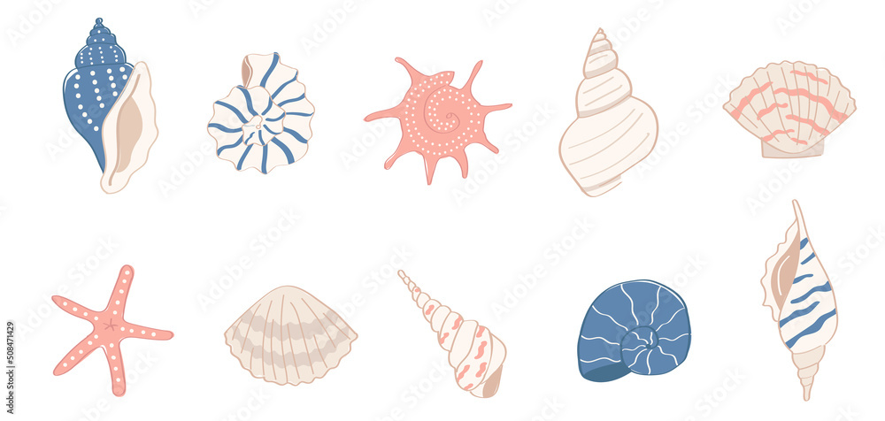 A set of colorful cartoon style sea shells A set of colorful cartoon style sea shells