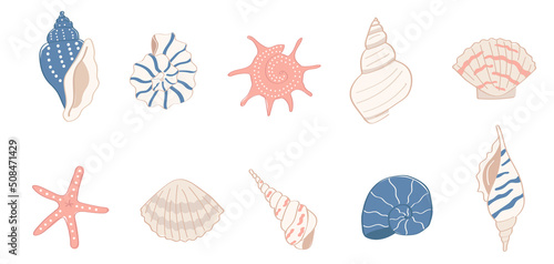 A set of colorful cartoon style sea shells