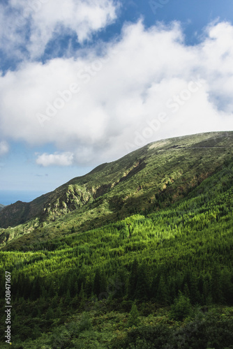 Azorean mountains