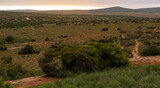 Naturreservat Addo Elephant National Park in Südafrika 
