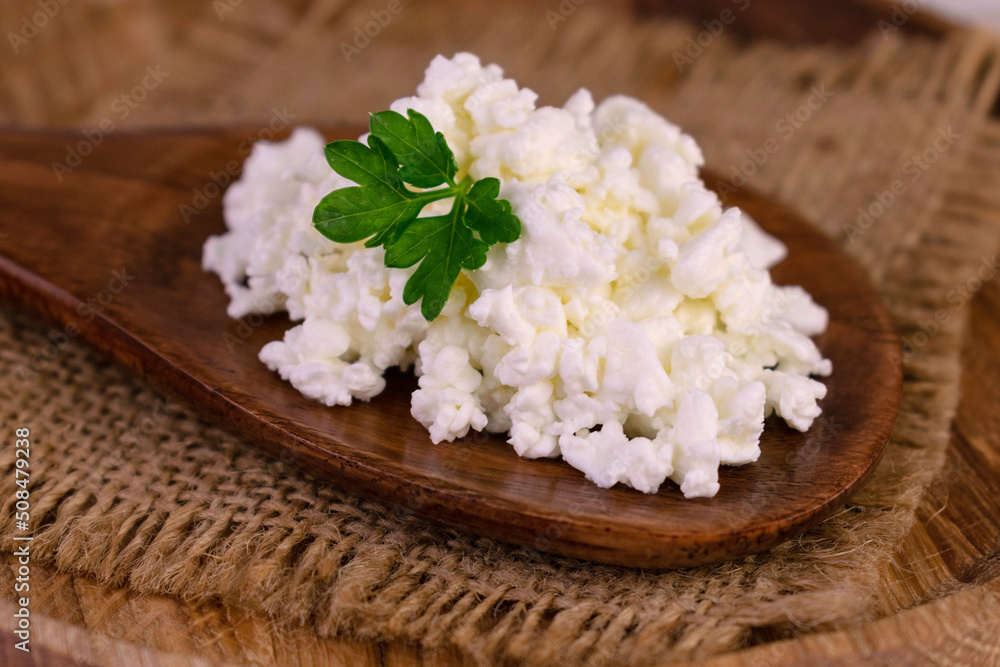 Curd in a wooden spoon. Soft cheese. Close-up.
Curd in a wooden spoon. Soft cheese. Close-up.