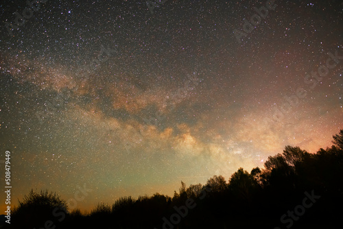 Beautiful bright milky way galaxy at the night sky and trees silhouette. Astronomical background.
