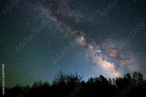 Beautiful bright milky way galaxy at the night sky and trees silhouette. Astronomical background.