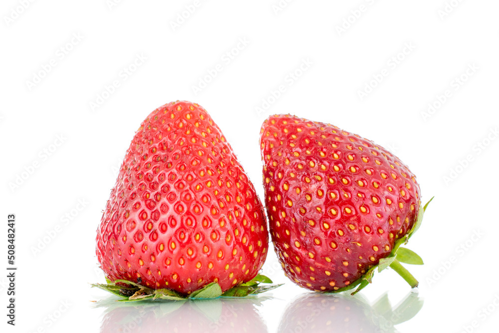 Two berries of ripe organic strawberries, close-up, isolated on a white background. Two berries of ripe organic strawberries, close-up, isolated on a white background.