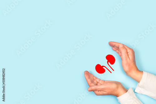 Photos Manos de mujer protegiendo riñones de papel rojo sobre un fondo celeste liso y aislado