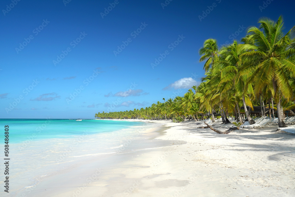 palmengesäumter Strand in der Karibik - obrazy, fototapety, plakaty 