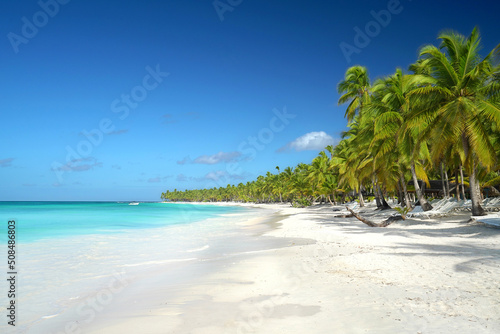 palmengesäumter Strand in der Karibik