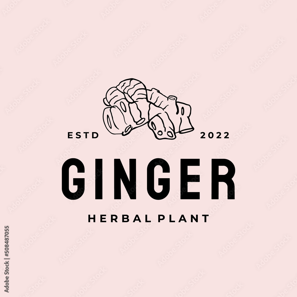 Ginger root logo. Herbal spice logo design vector Illustration