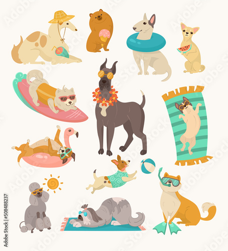 Funny comic dogs with beach accessories vector illustrations set. Portraits of cute puppy cartoon characters with swimming accessories isolated on white background. Summer, vacation, pets concept