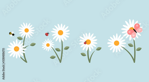White camomiles and insects cartoon illustration set. Ladybug, butterfly and bumblebee or bee sitting, collecting nectar or pollinating daisy flowers. Spring, meadow, nature concept