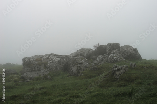 Close-up of a group of rocks on a foggy hill, Velika Planina, Slovenia