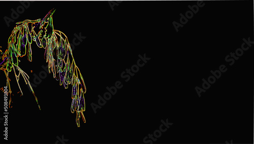 Neon outline of hanging ash lionfish seeds on a dark background. Copy space  . Vector.
