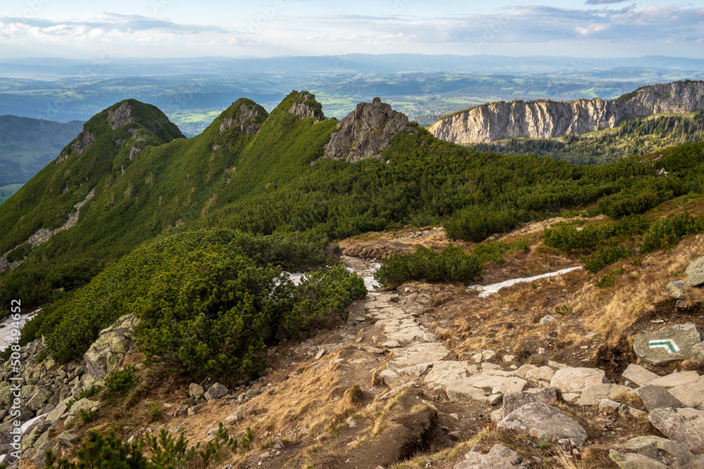 Fototapeta premium Sucha Czuba peak in the Western Tatra Mountains.