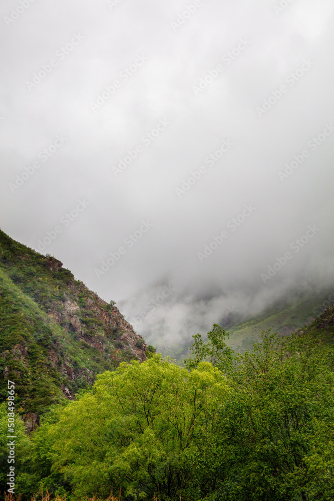 fog in the mountains