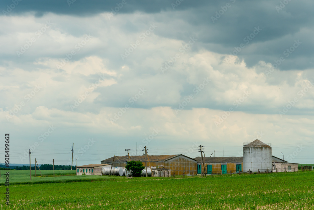 Agro-industrial complex for the cultivation of cereals, wheat, rye, corn and barley. The use of low-quality and non-natural fertilizers for the sowing campaign. Poor harvest and the threat of famine. Agro-industrial complex for the cultivation of cereals, wheat, rye, corn and barley. The use of low-quality and non-natural fertilizers for the sowing campaign. Poor harvest and the threat of famine.