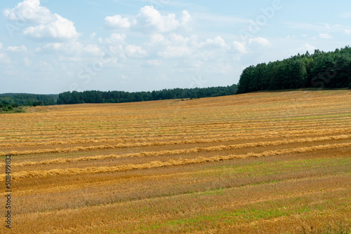 Agro-industrial complex for the cultivation of cereals, wheat, rye, corn and barley. The use of low-quality and non-natural fertilizers for the sowing campaign. Poor harvest and the threat of famine.