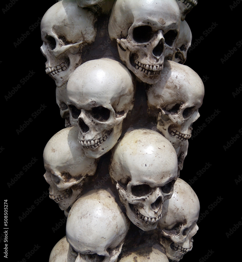 Obraz premium Human skulls close-up. Halloween Dia De Los Muertos Celebration. Black background.
