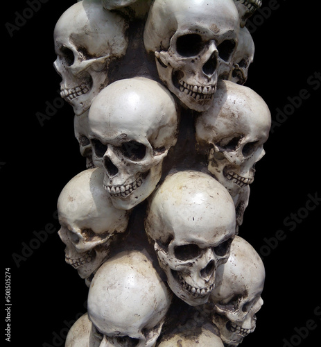 Human skulls close-up. Halloween Dia De Los Muertos Celebration. Black background.