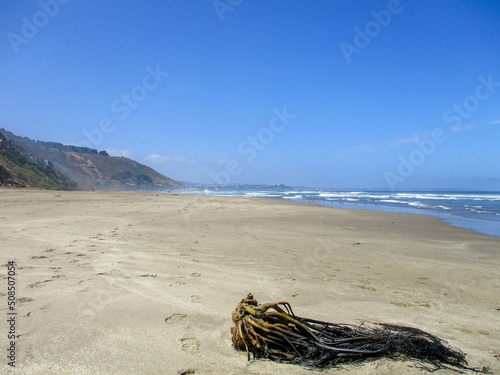 Playa de Cachagua photo