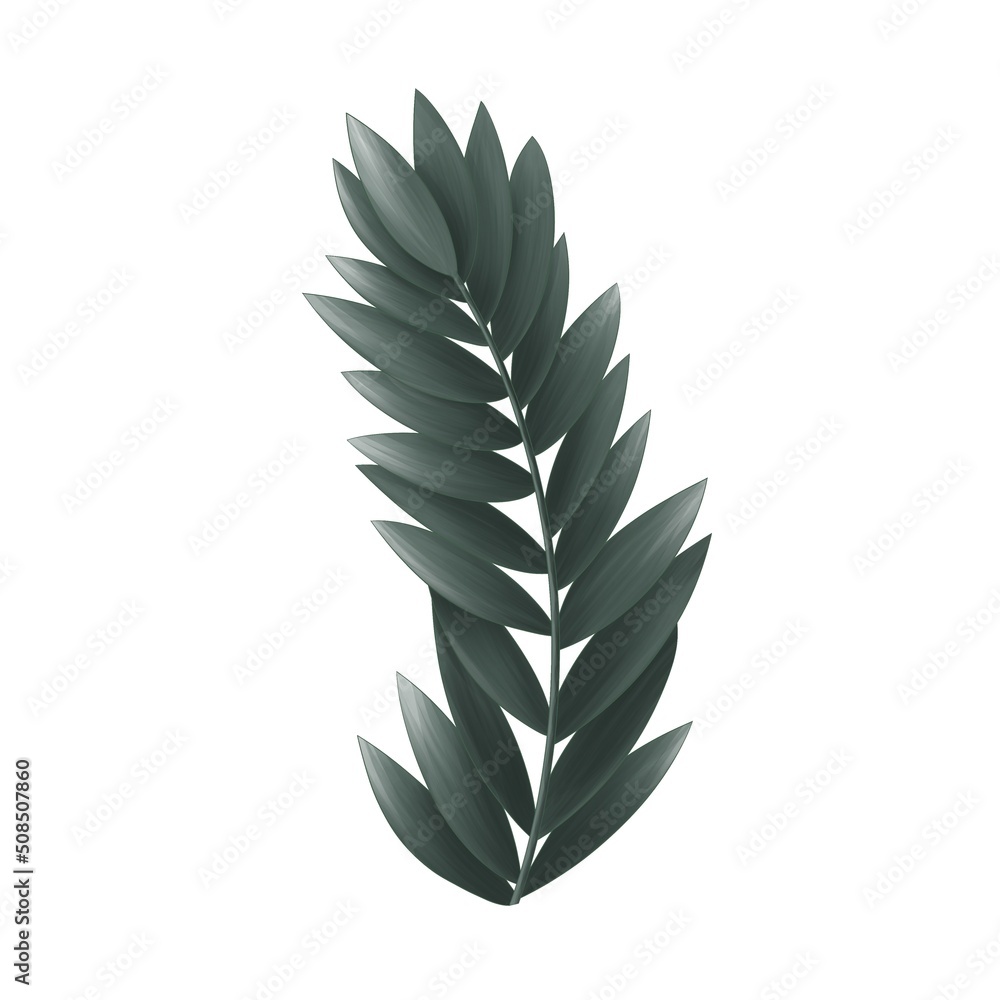 branch with green peony leaves isolated on white background branch with green peony leaves isolated on white background