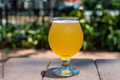 A small sample glass of pale ale craft beer. The liquid has a yellow tint. A clear beer glass sits on the edge of a wooden table at a microbrewery. The background has green garden shrubs. photo