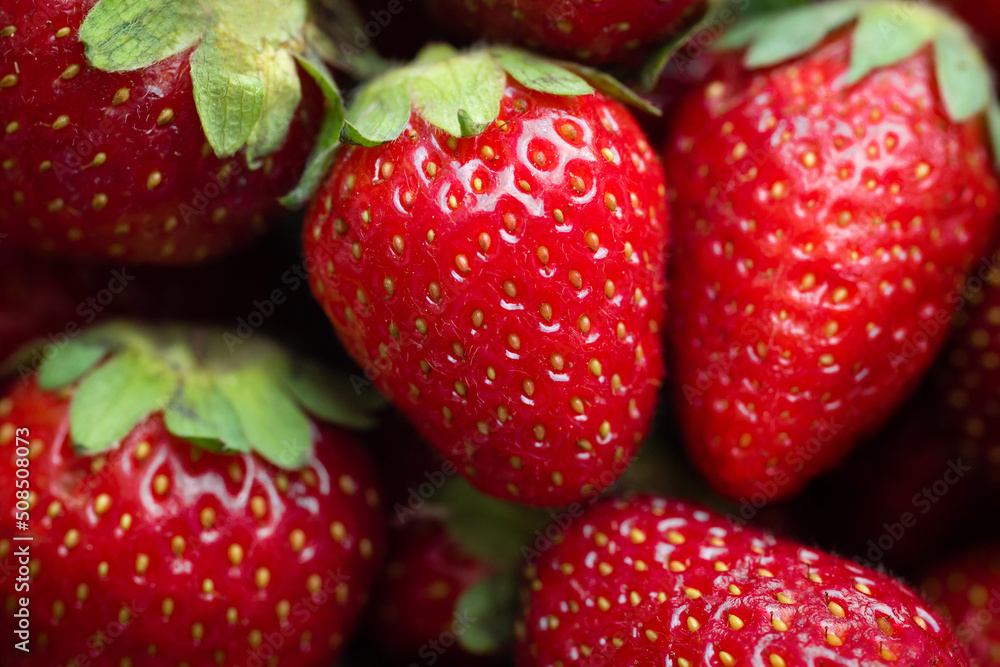 Background of freshly picked strawberries close-up. Fruit background, Fresh organic berries Background of freshly picked strawberries close-up. Fruit background, Fresh organic berries