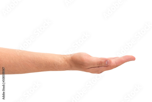 Male hand open palm up isolated on white background with clipping path