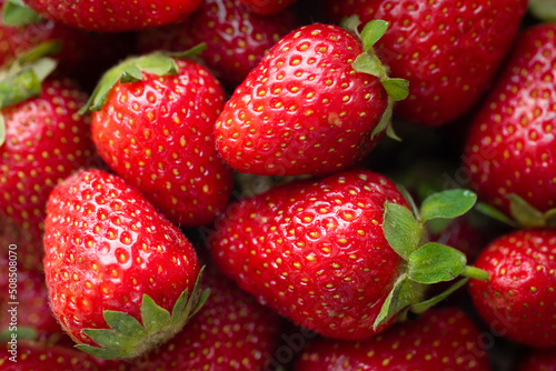Strawberry background. Fresh organic berries close up. Food background