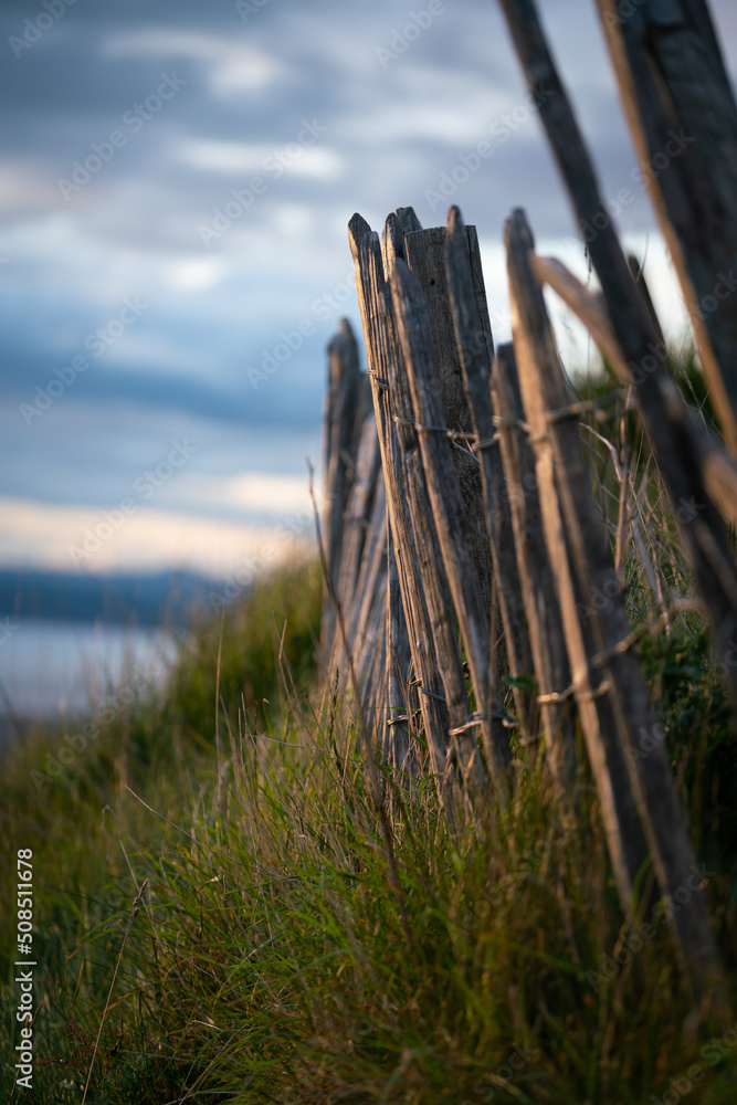 sunset light on wooden fence