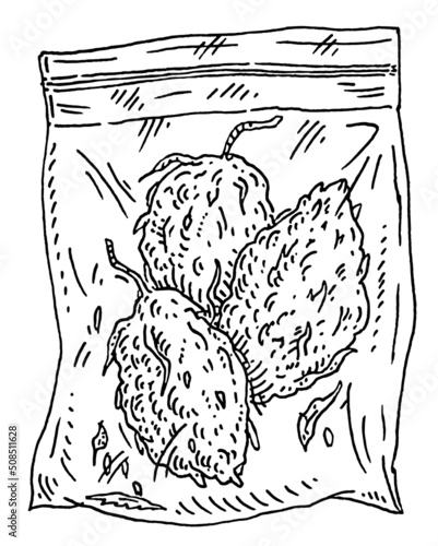 Plastic bag for marijuana. Vector black vintage hatching illustration