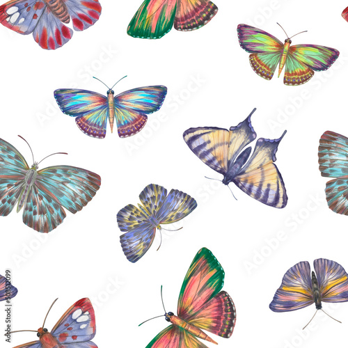 Set of bright butterflies collected in a seamless pattern isolated on a white background. © Sergei