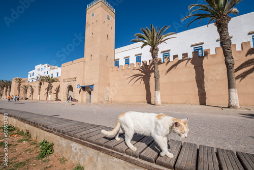 Essaouira, morocco, africa photo
