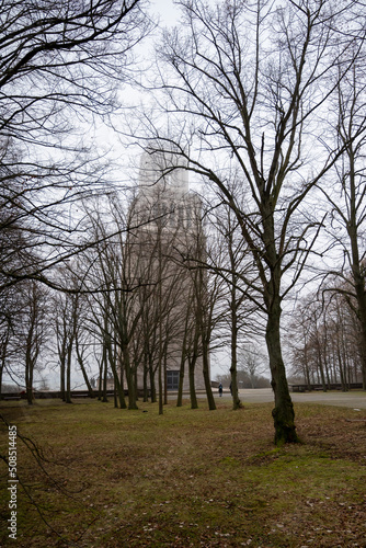 Old tower behind the bush