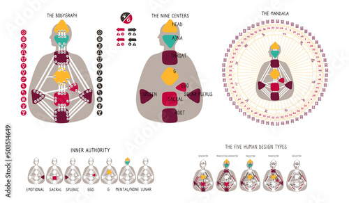 Human Design BodyGraph chart. Nine colored energy centers planets, variables. Inner authority. Five types generator, manifestor, manifesting generator, projector, reflector. Mandala. Vector graphic