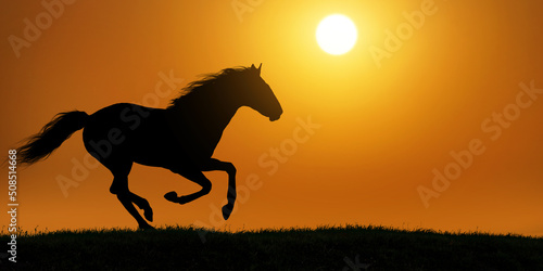 silhouette of the black horse under the hot summer sun