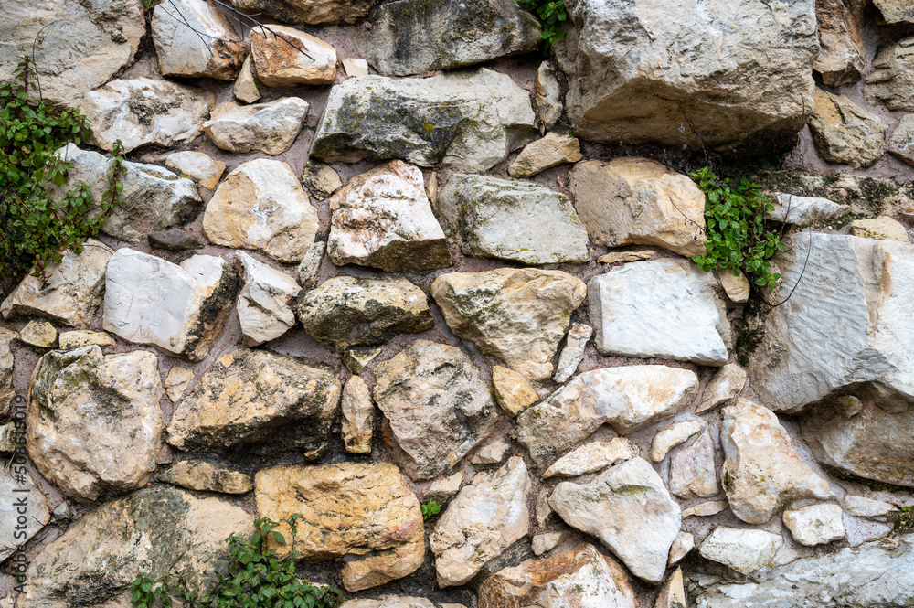 Obraz premium Remains of an old wall. Ancient stonework. Lots of cobblestones on the grass. Ancient remains of the fortress.