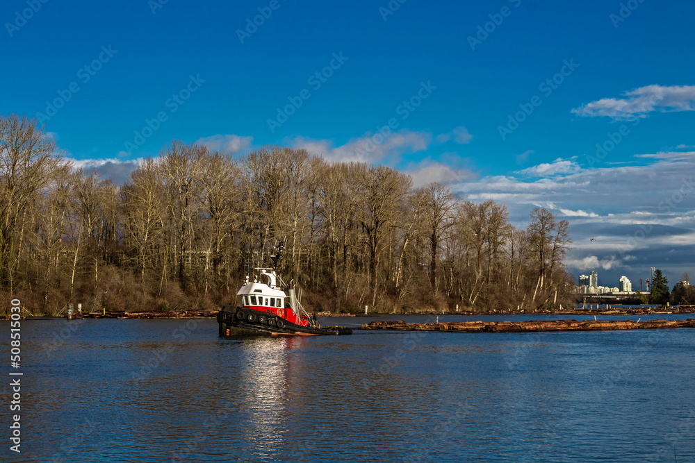 Fraser River, spring time, Tugboat Towing Rafts of Lumber Along the River with shores overgrown with deciduous forest, mountain range not on the horizon and blue  sky, British Columbia, Canada