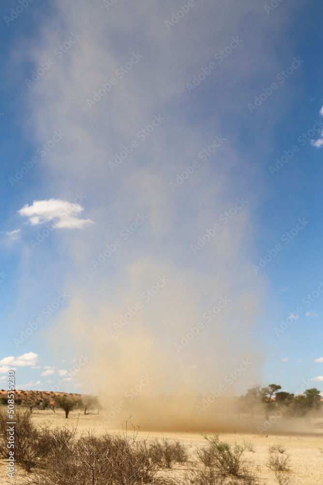 Small, dusty whirlwind in the Kgalagadi, South Africa Small, dusty whirlwind in the Kgalagadi, South Africa