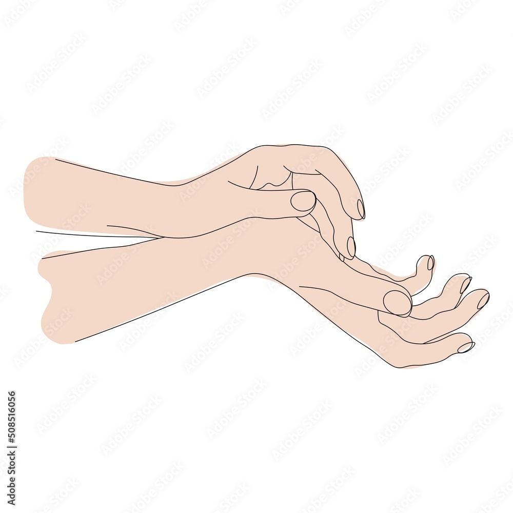 beautiful female hands of European race, beautiful hand poses isolated on white background, vector for beauty spa design, skin care advertisement, hand care concept beautiful female hands of European race, beautiful hand poses isolated on white background, vector for beauty spa design, skin care advertisement, hand care concept