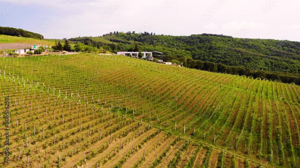 Aerial drone view over vineyards, towards agricultural fields, during sunset Aerial drone view over vineyards, towards agricultural fields, during sunset