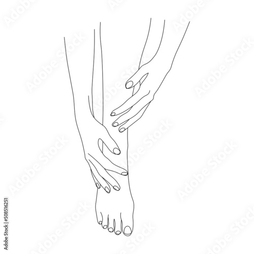 contour of the graceful part of the legs, beautiful female legs, the concept of foot care and health of the lower extremities,